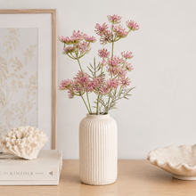 Load image into Gallery viewer, Queen Annes Lace Flower