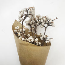 Load image into Gallery viewer, SNOW BERRY BUNCH