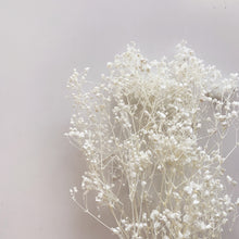 Load image into Gallery viewer, Baby's Breath Bunch