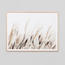 Load image into Gallery viewer, Pampas Breeze Print