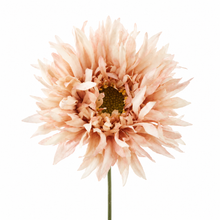 Load image into Gallery viewer, Artificial Dried Look Daisy
