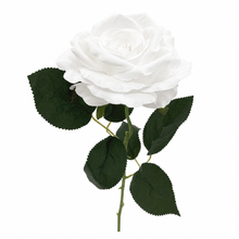 Load image into Gallery viewer, Everlasting Rose
