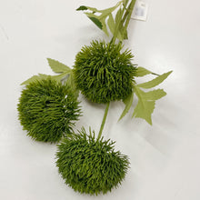 Load image into Gallery viewer, GREEN DIANTHUS SPRAY
