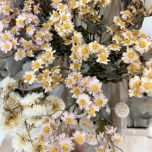 Load image into Gallery viewer, Dried Daisy Stem – Artificial Daisy Flower | Home Thyme
