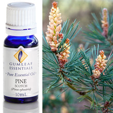 Load image into Gallery viewer, ESSENTIAL OIL
