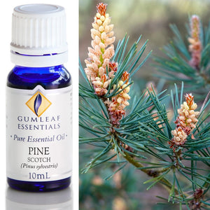ESSENTIAL OIL