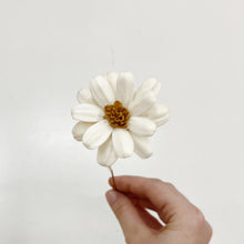 Load image into Gallery viewer, DRIED AFRICAN DAISY - WHITE
