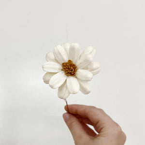 DRIED AFRICAN DAISY - WHITE