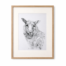 Load image into Gallery viewer, Sheep Sketch Framed Print | Neutral Farmhouse Wall Art
