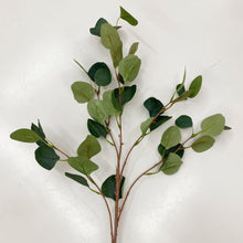 Load image into Gallery viewer, EUCALYPTUS STEM
