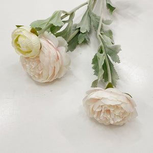 RANUNCULUS STEM - PINK