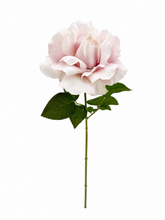 Load image into Gallery viewer, Blooming Rose
