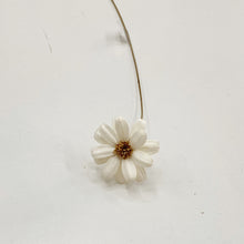 Load image into Gallery viewer, DRIED AFRICAN DAISY - WHITE

