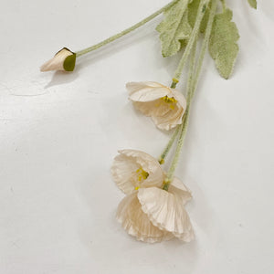 CREAM POPPY STEM
