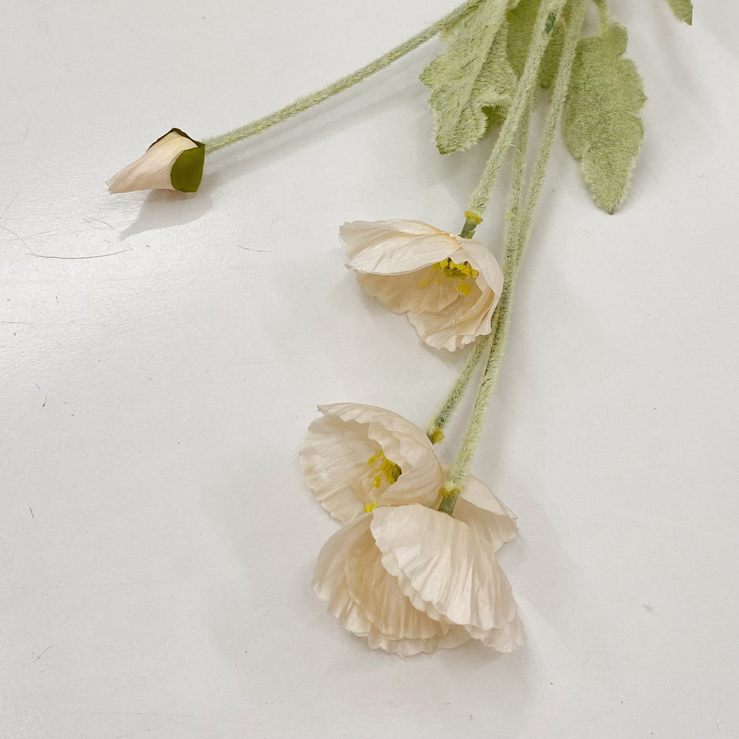CREAM POPPY STEM