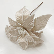 Load image into Gallery viewer, CHAMPAGNE POINSETTIA
