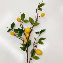 Load image into Gallery viewer, LEMON STEM
