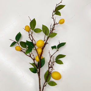 LEMON STEM