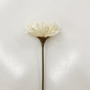 DRIED LOOK DAISY - OFF WHITE