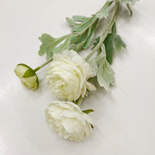 Load image into Gallery viewer, RANUNCULUS STEM - OFF WHITE
