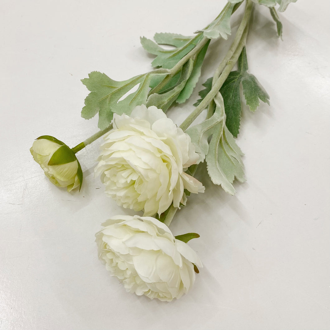 RANUNCULUS STEM - OFF WHITE