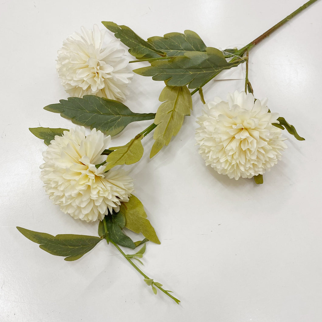 CHRYSANTHEMUM POM POM - OFF WHITE