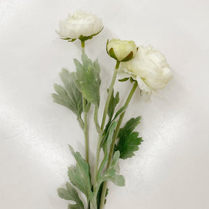 RANUNCULUS STEM - OFF WHITE