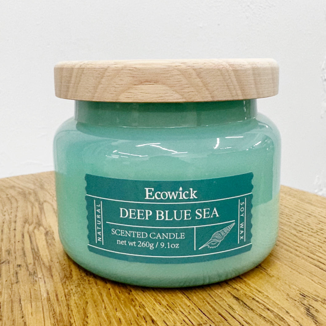 SOY CANDLE - DEEP BLUE SEA