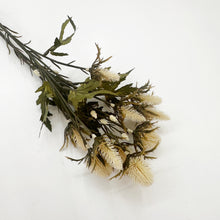 Load image into Gallery viewer, SEA HOLLY SPRAY - CREAM
