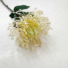 Load image into Gallery viewer, PROTEA SPRAY
