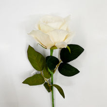 Load image into Gallery viewer, VELVET ROSE - CHAMPAGNE
