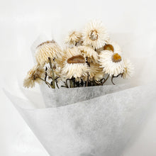 Load image into Gallery viewer, Paper Daisy Bunch
