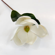 Load image into Gallery viewer, Magnolia Stem
