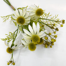 Load image into Gallery viewer, CONEFLOWER BUSH
