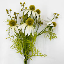 Load image into Gallery viewer, CONEFLOWER BUSH
