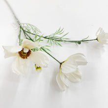 Load image into Gallery viewer, LARGE GESENG STEM
