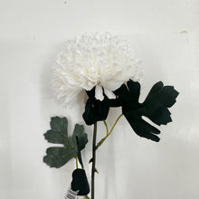 Load image into Gallery viewer, LARGE POM POM STEM
