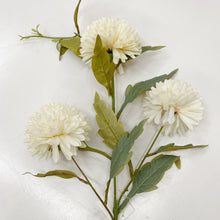 Load image into Gallery viewer, CHRYSANTHEMUM POM POM - OFF WHITE
