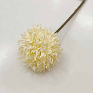 SINGLE CHRYSANTHEMUM - OFF WHITE