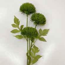 Load image into Gallery viewer, GREEN DIANTHUS SPRAY
