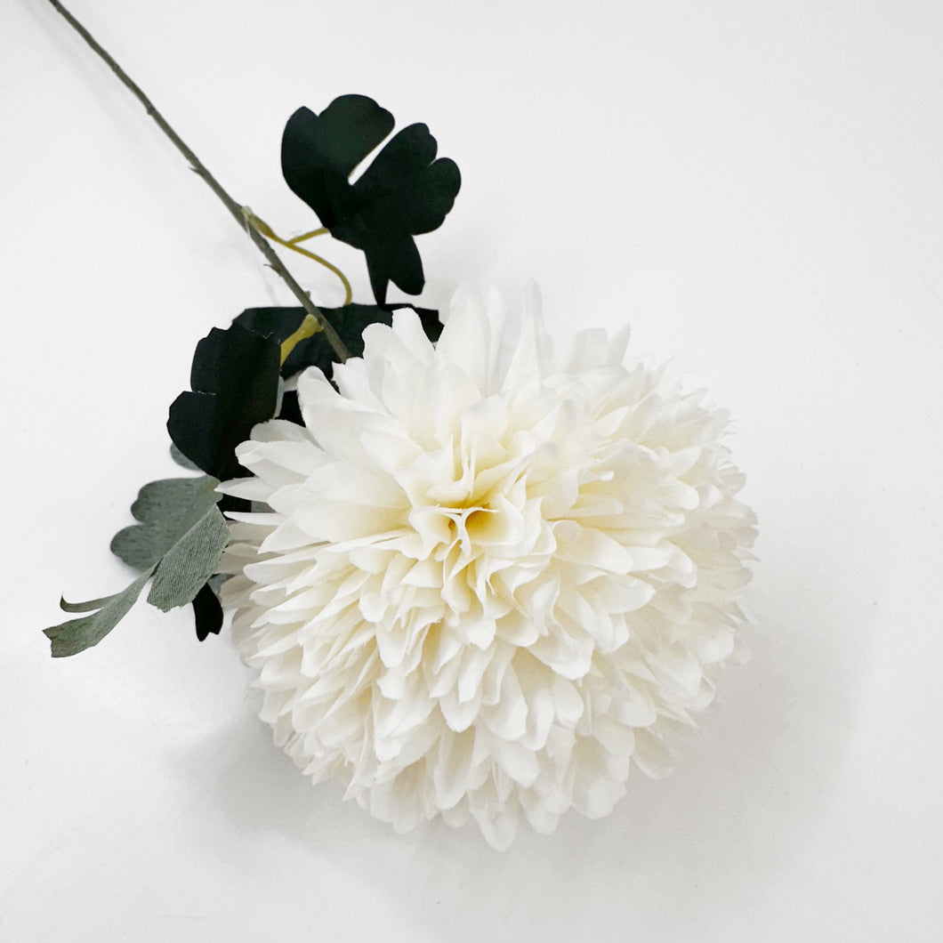 CHRYSANTHEMUM POM POM - WHITE