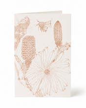 Load image into Gallery viewer, Orange Coastal Banksia &amp; Teddy Bear Bee | Greeting Card
