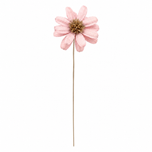 Load image into Gallery viewer, Pink African Daisy
