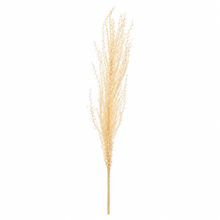Load image into Gallery viewer, Feather Pampas Stem
