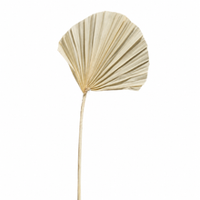 Load image into Gallery viewer, Round Palm Stem
