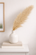 Load image into Gallery viewer, Natural Beige Pampas Grass Stem – Dried Decorative Home Styling
