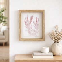 Load image into Gallery viewer, Australian botanical framed art featuring red bottlebrush and superb wrens hanging on a neutral home wall
