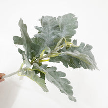 Load image into Gallery viewer, Dusty Miller Stem
