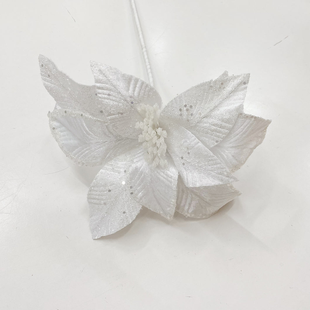 WHITE POINSETTIA
