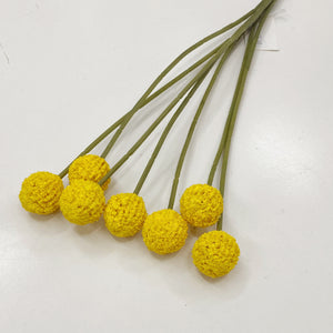 BILLY BUTTON BUNCH - YELLOW